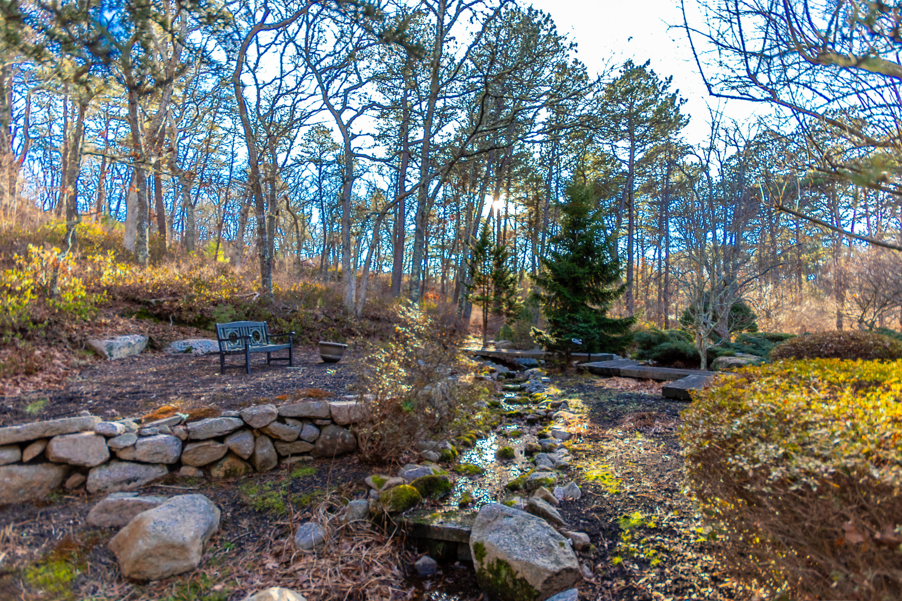 186 Cairn Ridge Road East Falmouth, MA 02536 - Photo 45 of 49 Tranquil back yard
