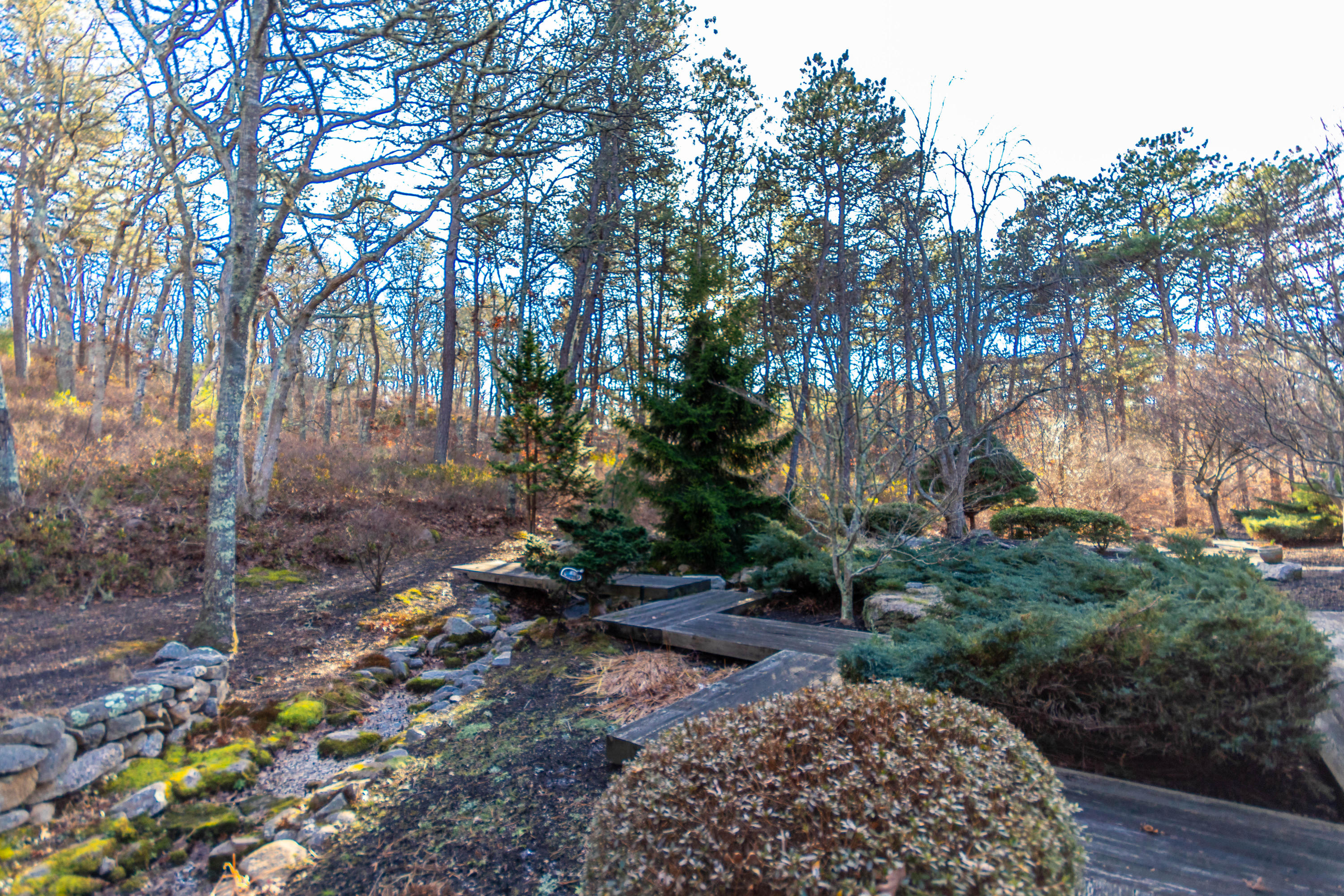 186 Cairn Ridge Road East Falmouth, MA 02536 - Photo 46 of 49 Rustic back yard with water feature