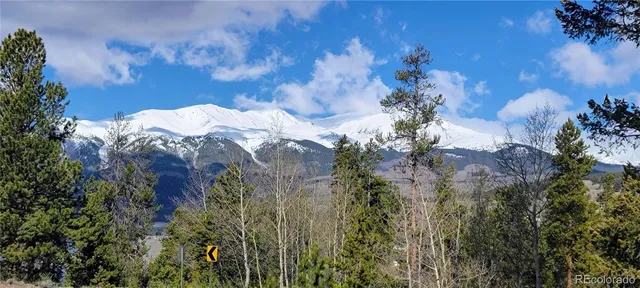 $42,500 | 495 Birch Drive, Twin Lakes, CO 80461