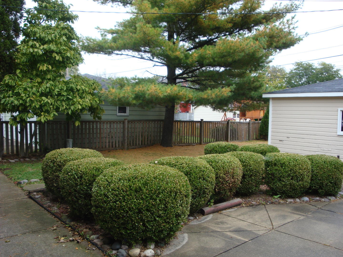 601 Forest Road La Grange Park, IL 60526 - Photo 21 of 22 a view of a backyard