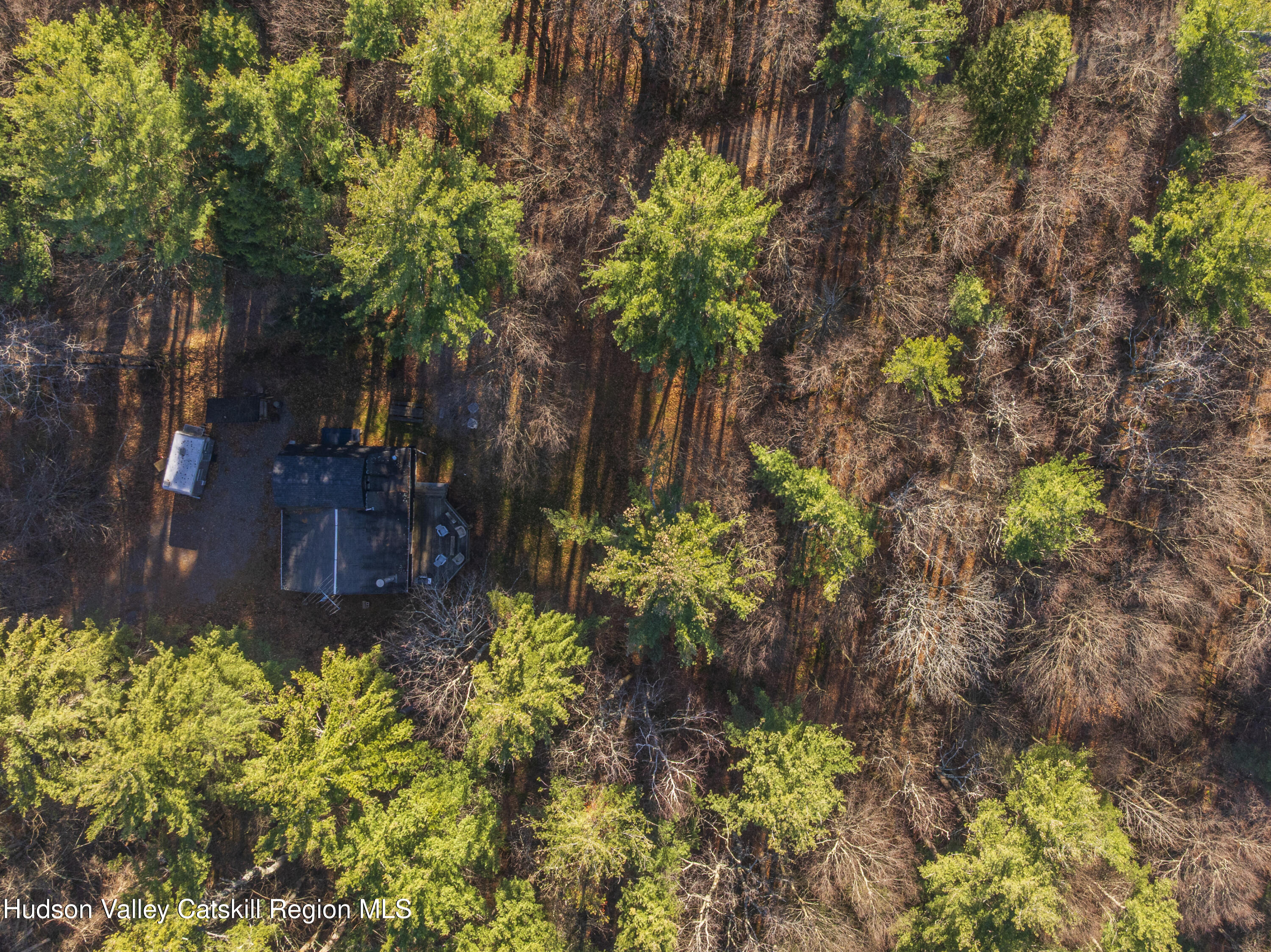 92 Cunningham Hill Road Canaan, NY 12029 - Photo 24 of 31 Alon-Koppel-Photography-DJI_0386