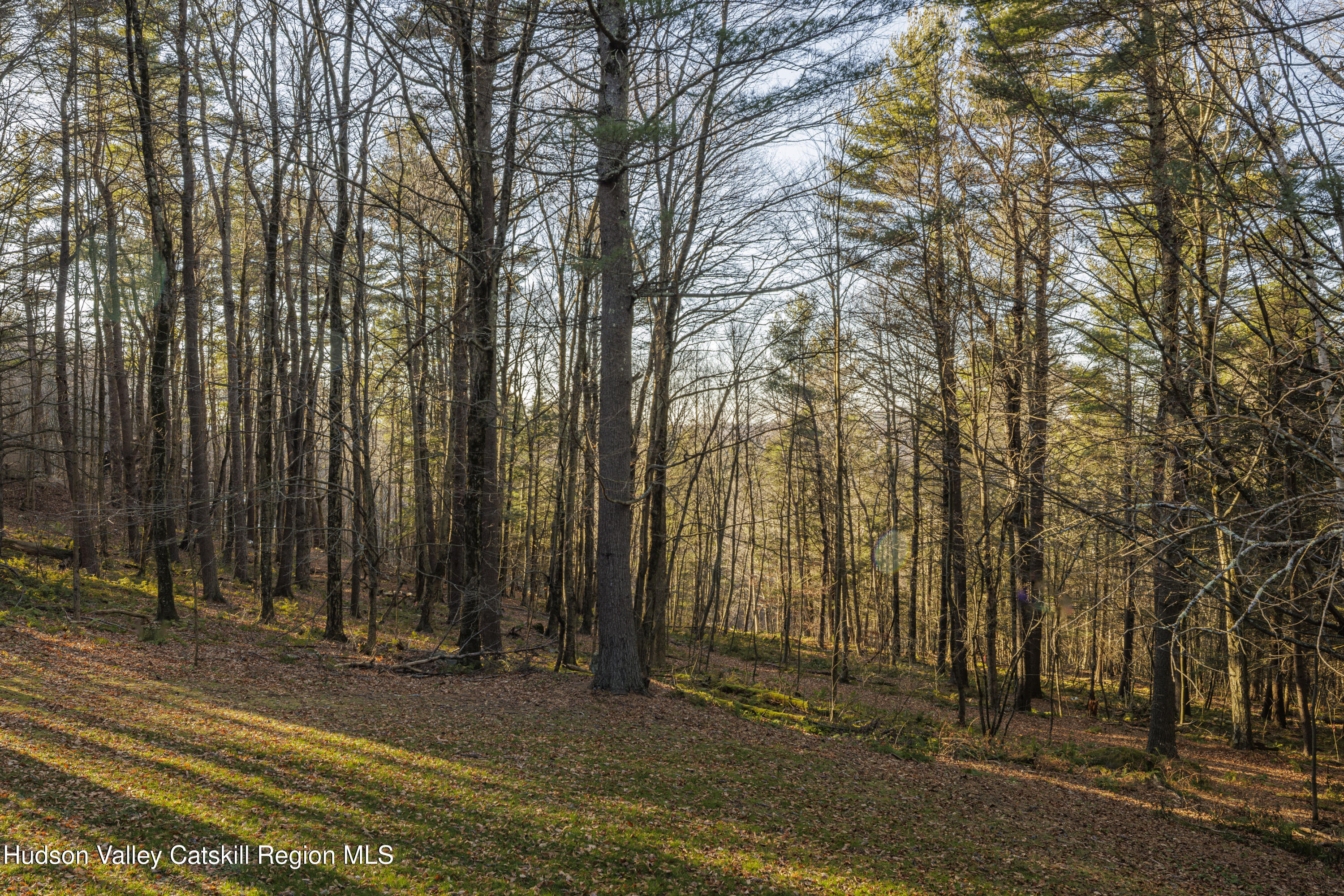92 Cunningham Hill Road Canaan, NY 12029 - Photo 29 of 30 Alon-Koppel-Photography-IMG_2842