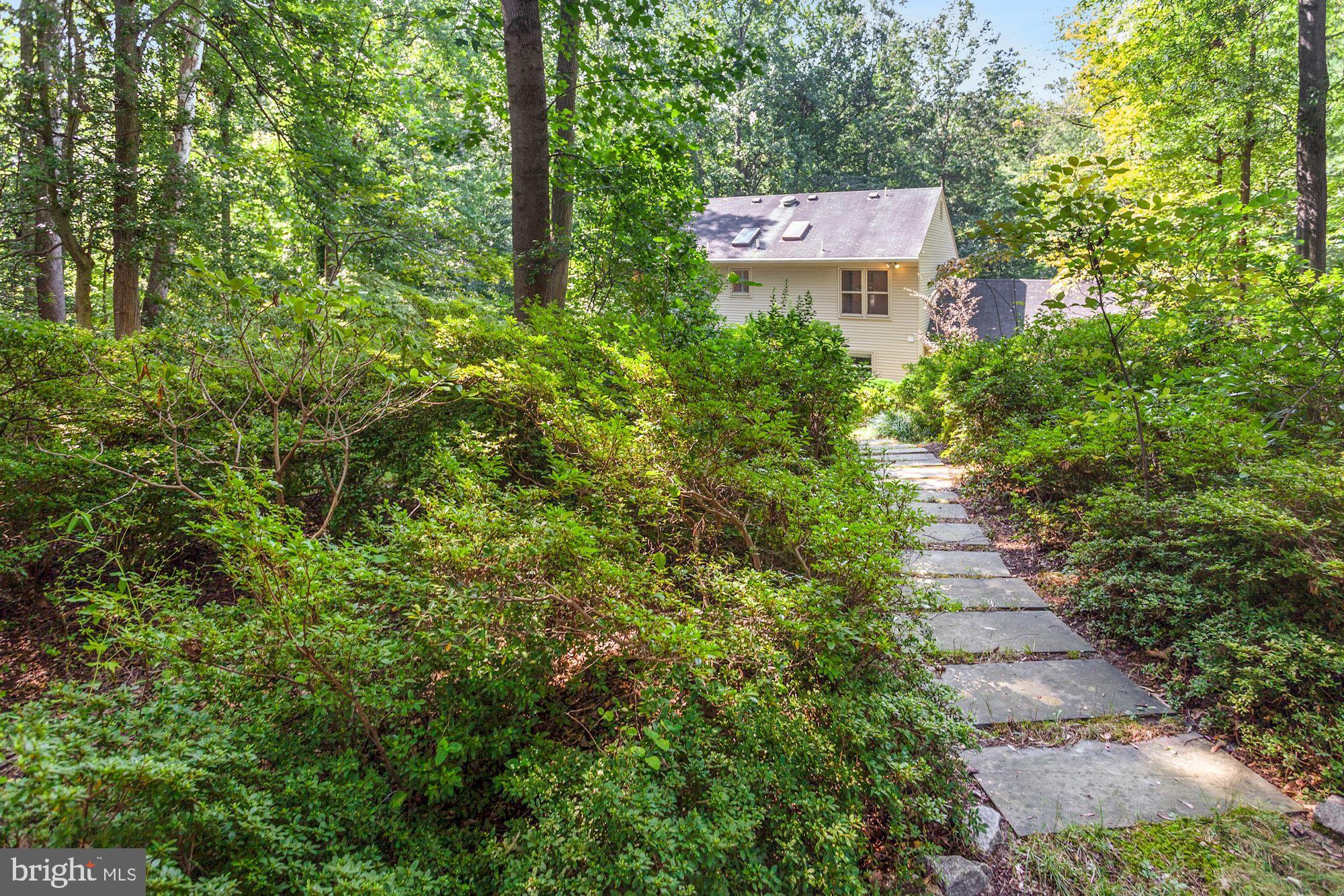 6663 Ridgeway Drive Springfield, VA 22150 - Photo 37 of 49 Exterior - walking paths in the yard