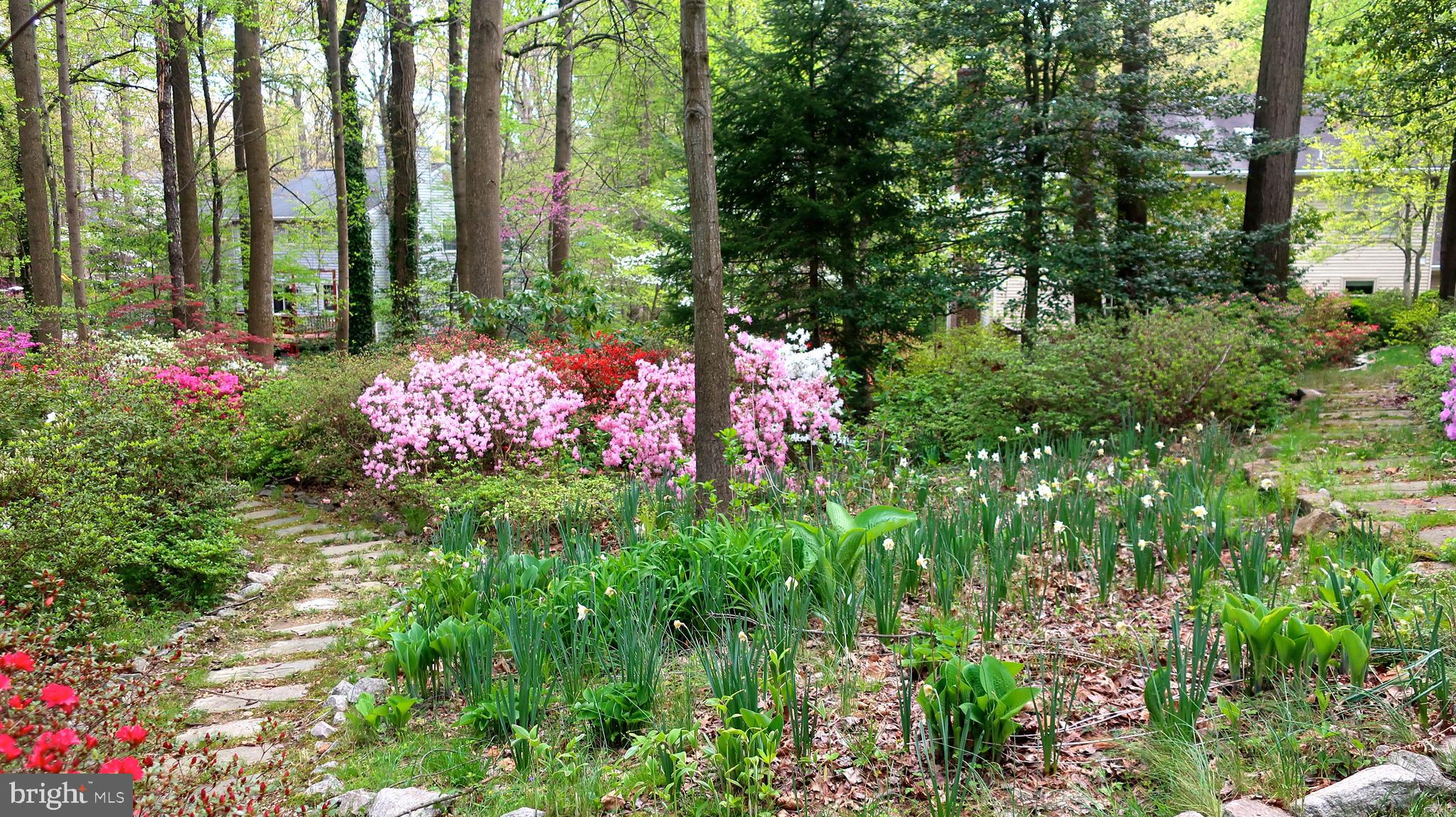 6663 Ridgeway Drive Springfield, VA 22150 - Photo 47 of 49 Stone walkway in backyard