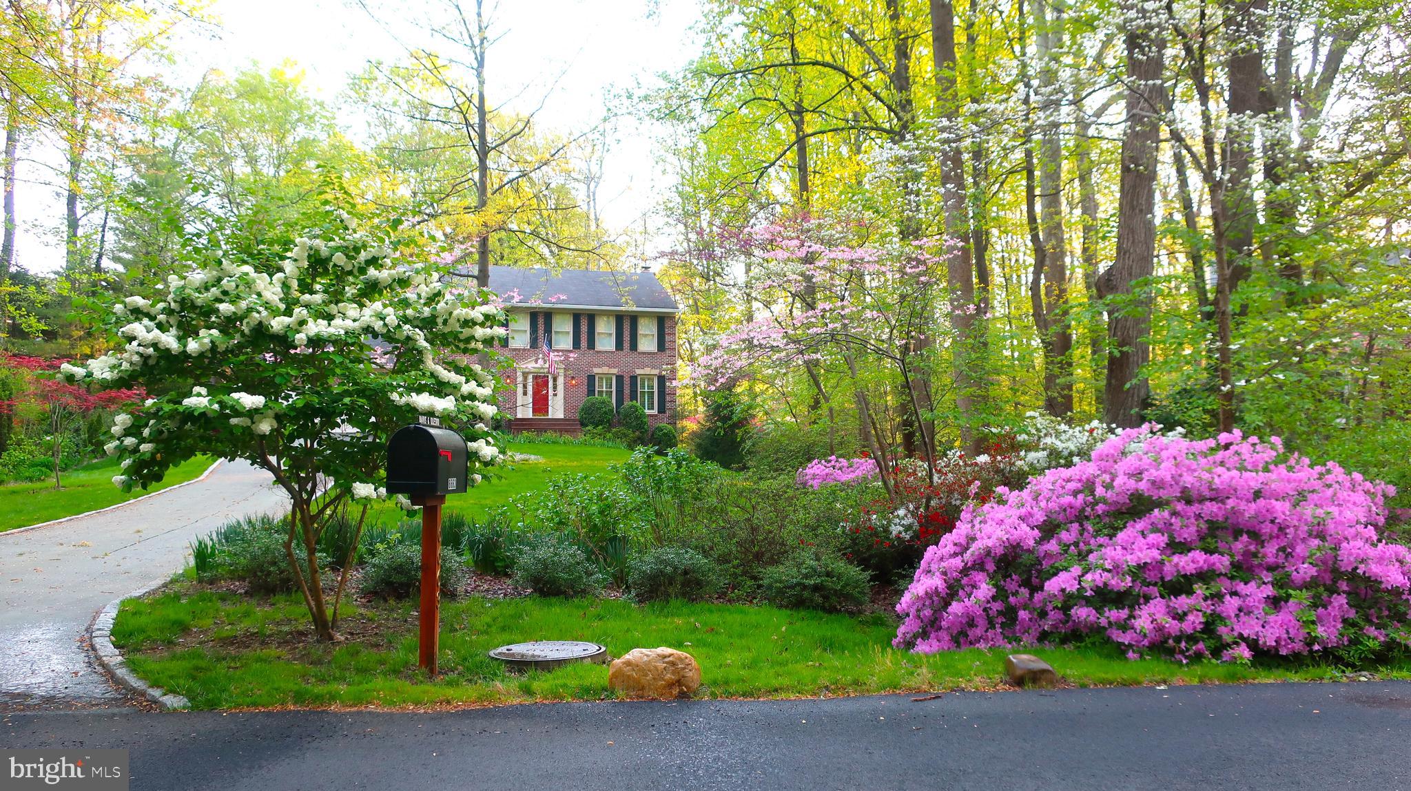 6663 Ridgeway Drive Springfield, VA 22150 - Photo 49 of 49 Stunning!