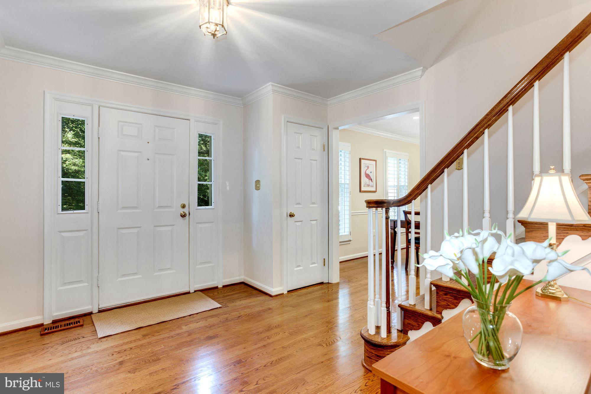 6663 Ridgeway Drive Springfield, VA 22150 - Photo 7 of 49 Main - entry