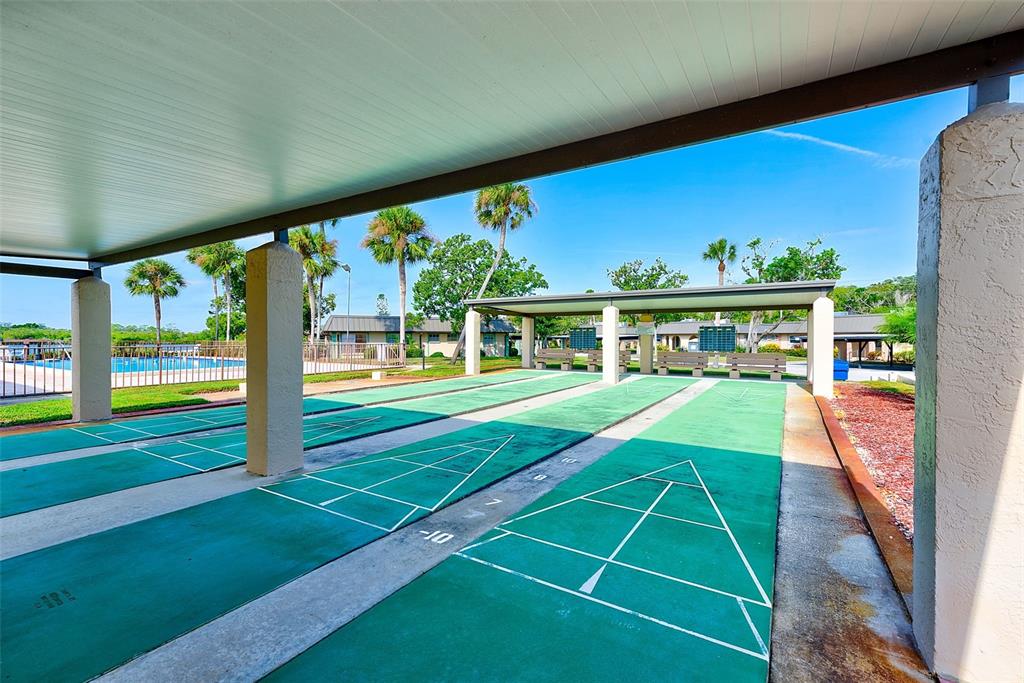 4308 Summersun Drive New Port Richey, FL 34652 - Photo 37 of 42 a view of an chairs in front of house