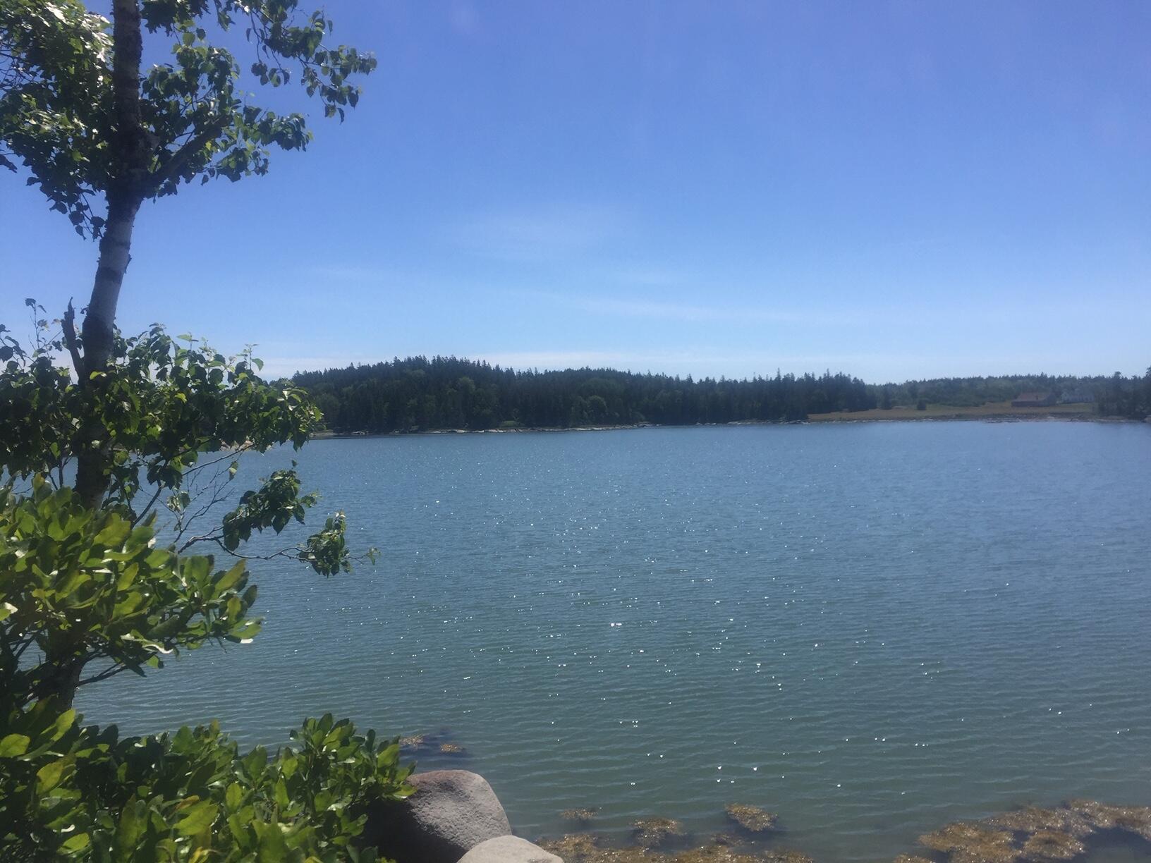 45 Calderwood Neck Road Vinalhaven, ME 04863 - Photo 2 of 8 IMG_2197