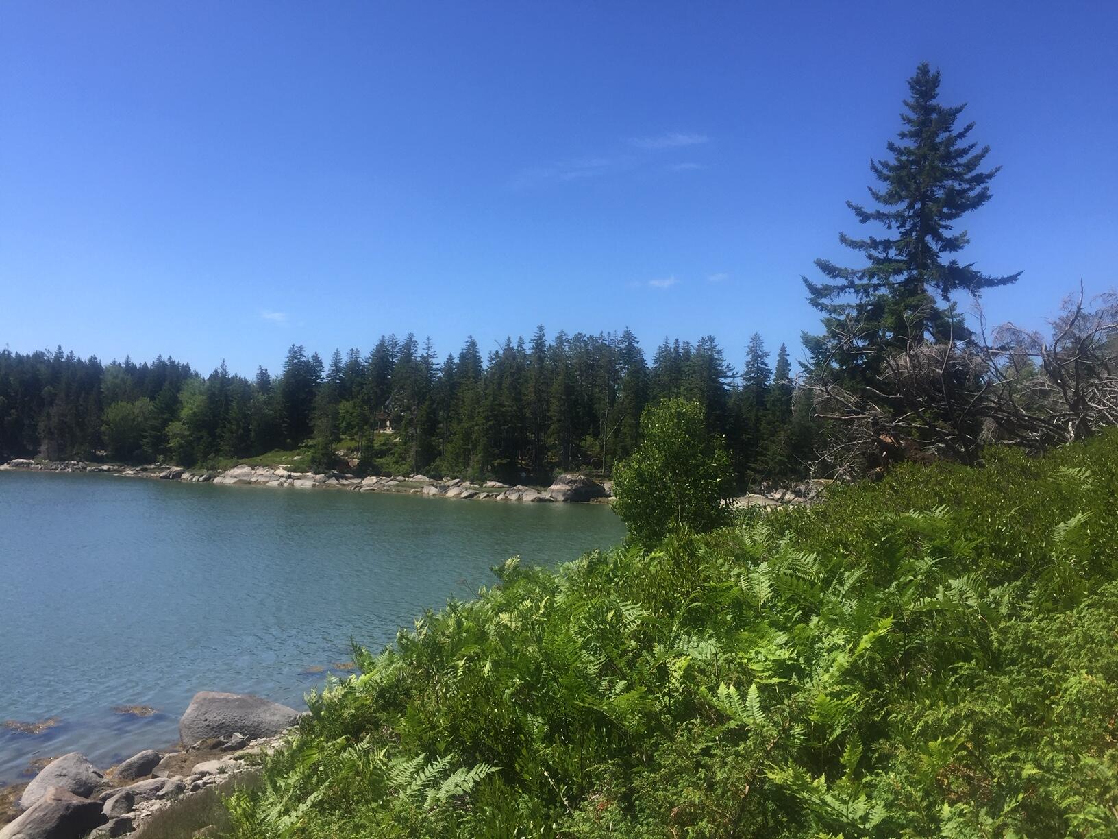 45 Calderwood Neck Road Vinalhaven, ME 04863 - Photo 3 of 8 IMG_2198