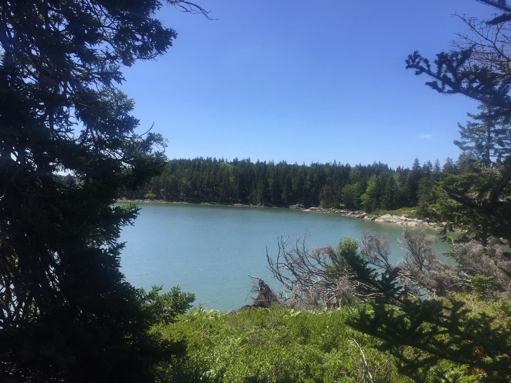 45 Calderwood Neck Road Vinalhaven, ME 04863 - Photo 4 of 8 IMG_2199