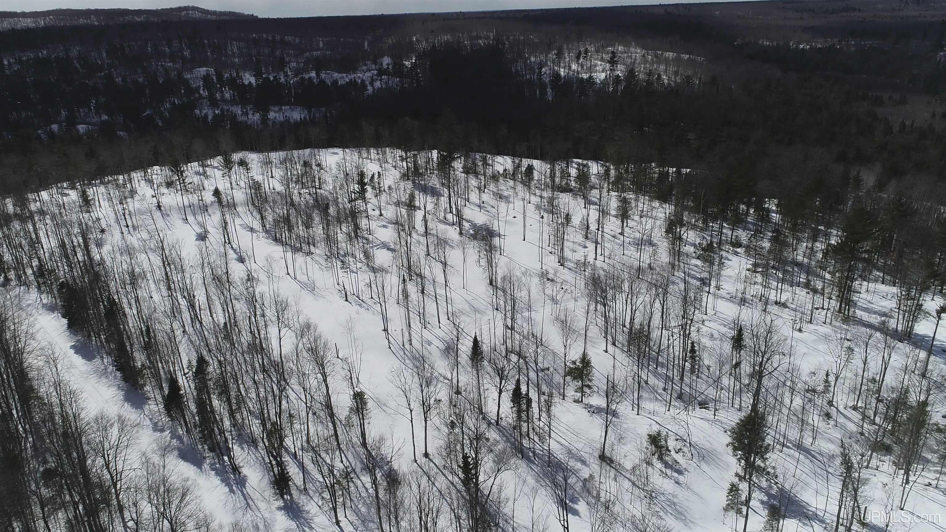 South 8-acres Perch Lake Road Munising, MI 49862 - Photo 28 of 44 Gallery Image 28