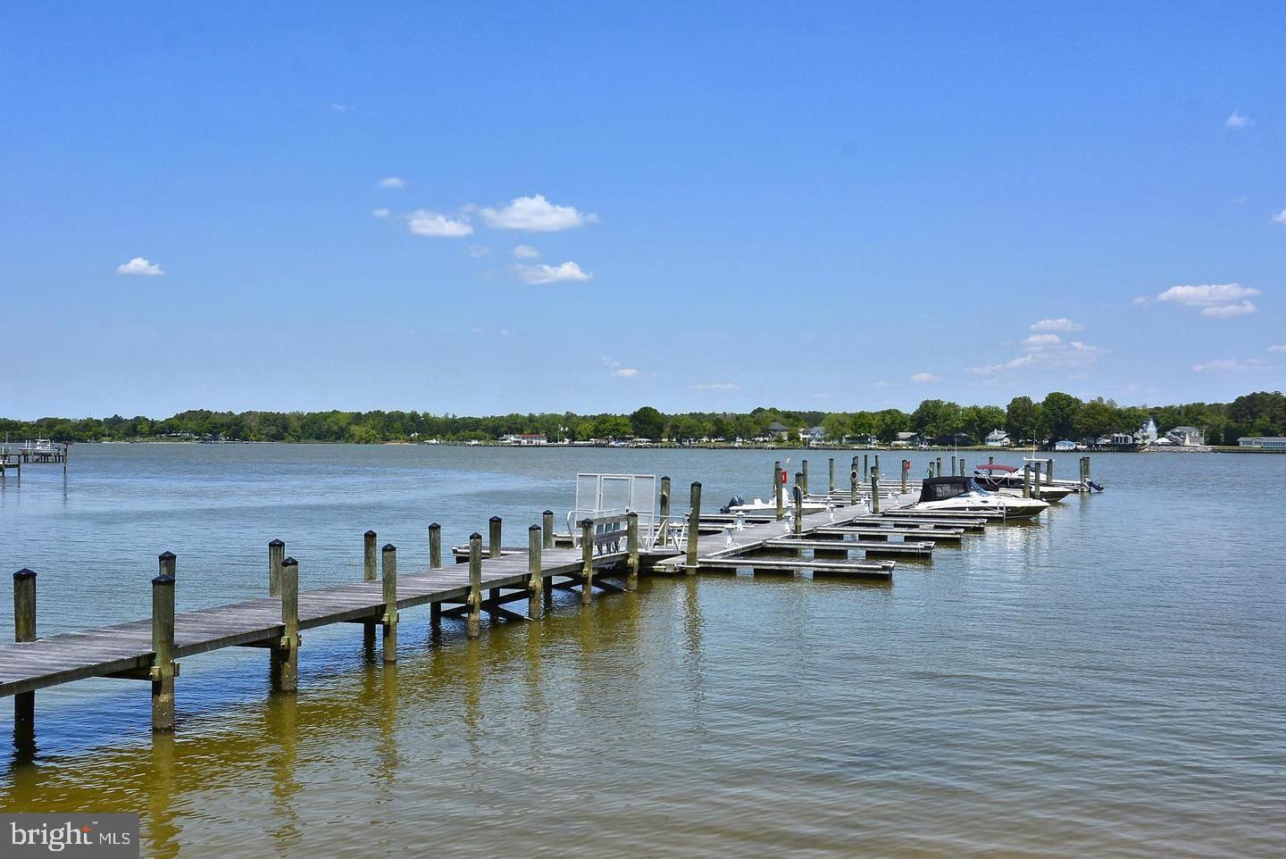 11565 Magnolia Court Issue, MD 20645 - Photo 65 of 68 a view of a lake with boats and trees in the background