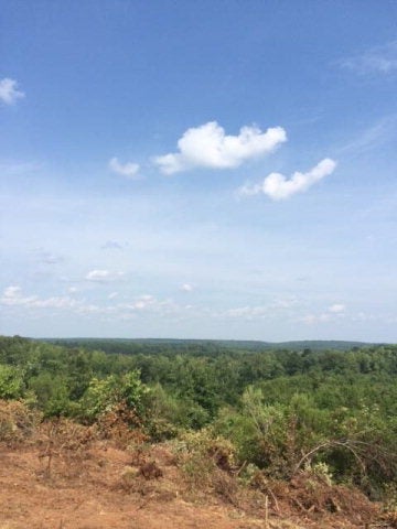0 Hayes Mill Road Dadeville, AL 36853 - Photo 9 of 14 Gallery Image 9