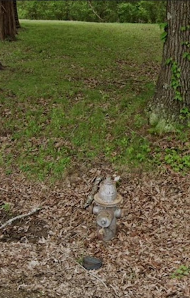 Kay Lane Somerville, TN 38068 - Photo 13 of 19 a view of a lake view