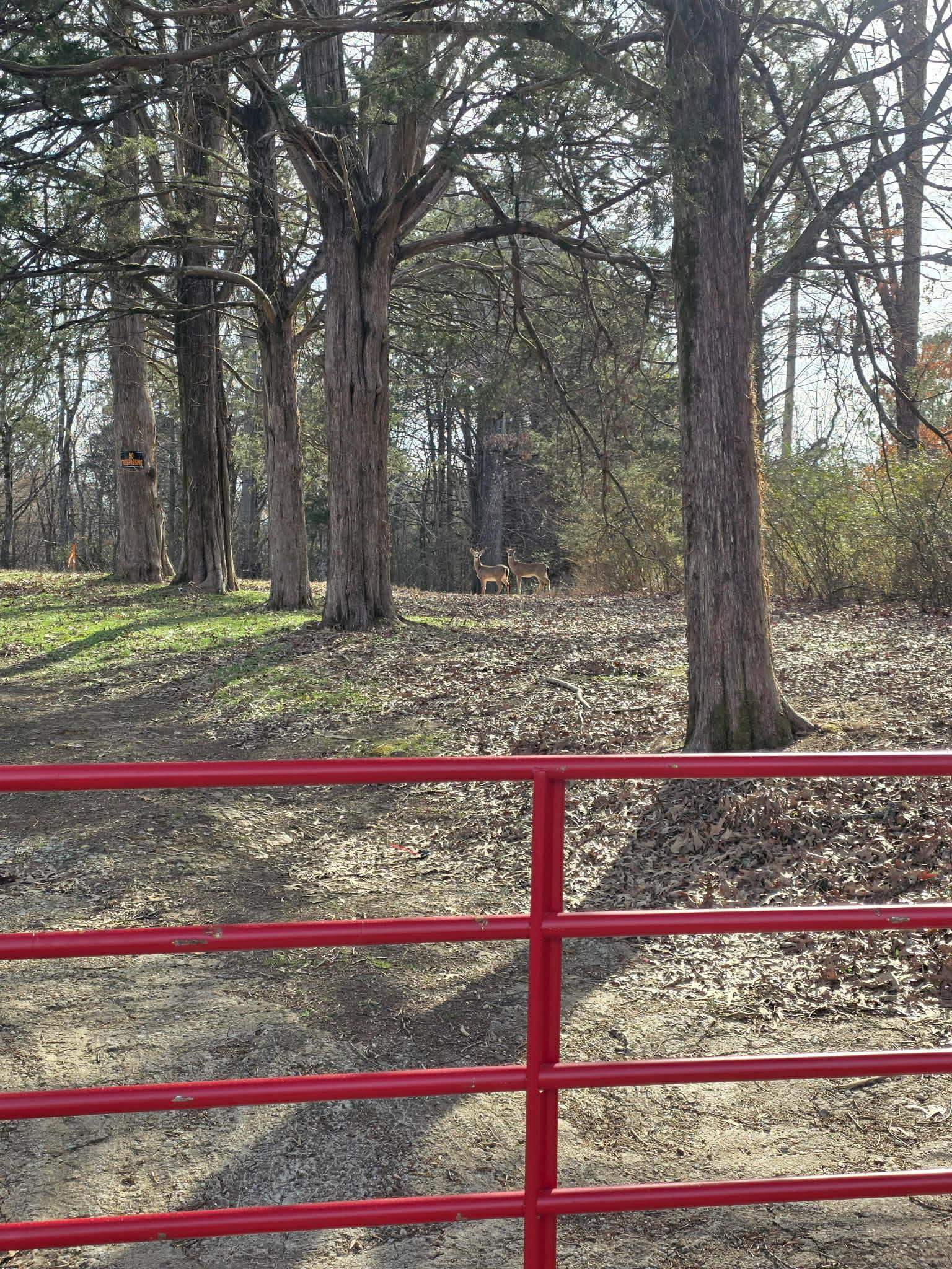 Kay Lane Somerville, TN 38068 - Photo 15 of 19 a view of a wooden house with a yard