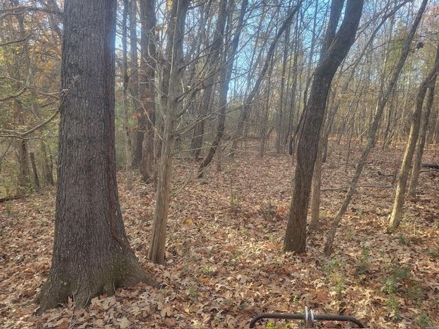 Kay Lane Somerville, TN 38068 - Photo 18 of 19 a view of a forest that has a tree