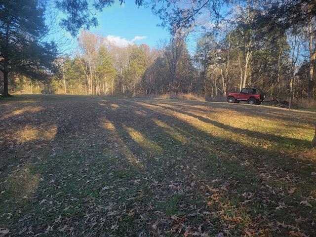Kay Lane Somerville, TN 38068 - Photo 4 of 19 a view of road with trees