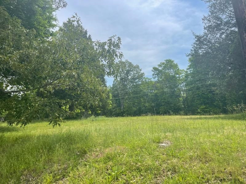 Kay Lane Somerville, TN 38068 - Photo 5 of 19 a view of a field with trees in the background