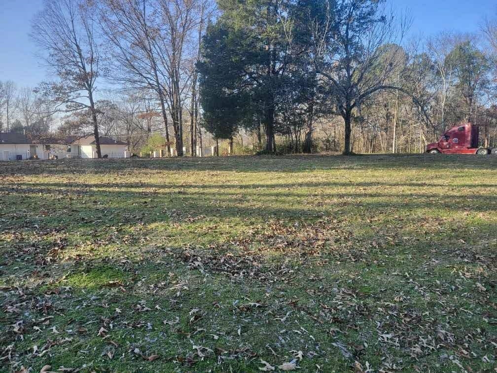 Kay Lane Somerville, TN 38068 - Photo 8 of 19 a garden view