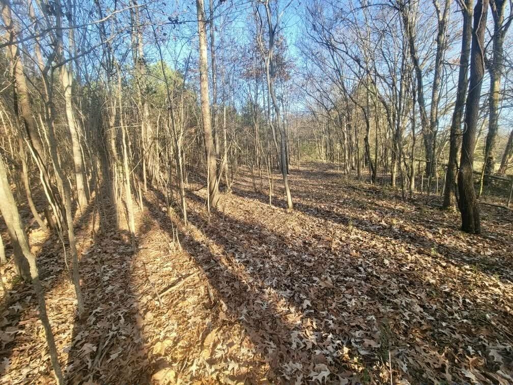 Kay Lane Somerville, TN 38068 - Photo 9 of 19 a view of empty room with trees