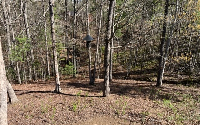 1142 Rockridge Road Murphy, NC 28906 - Photo 39 of 43 Additional View