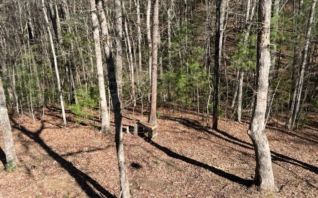 1142 Rockridge Road Murphy, NC 28906 - Photo 40 of 43 Additional View