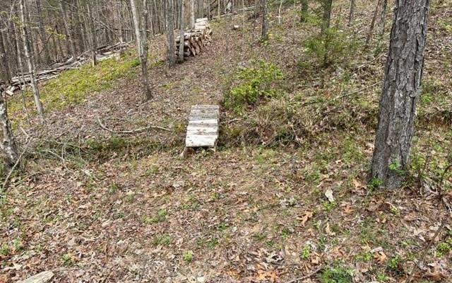 1142 Rockridge Road Murphy, NC 28906 - Photo 41 of 43 Additional View