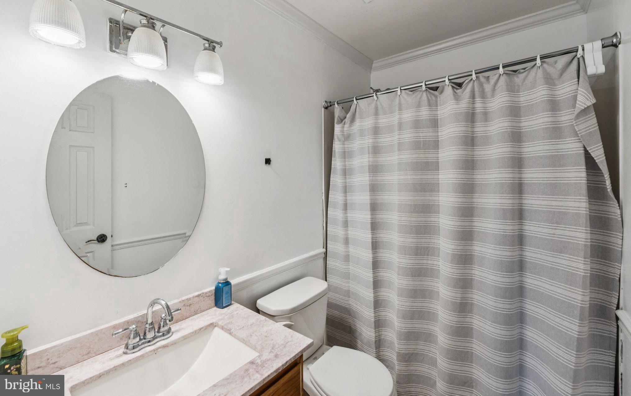 8124 Seneca View Drive Gaithersburg, MD 20882 - Photo 29 of 37 a bathroom with a sink a toilet a mirror and shower curtain