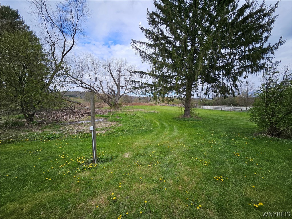 1877 Owego Hill Road Virgil, NY 13045 - Photo 3 of 11