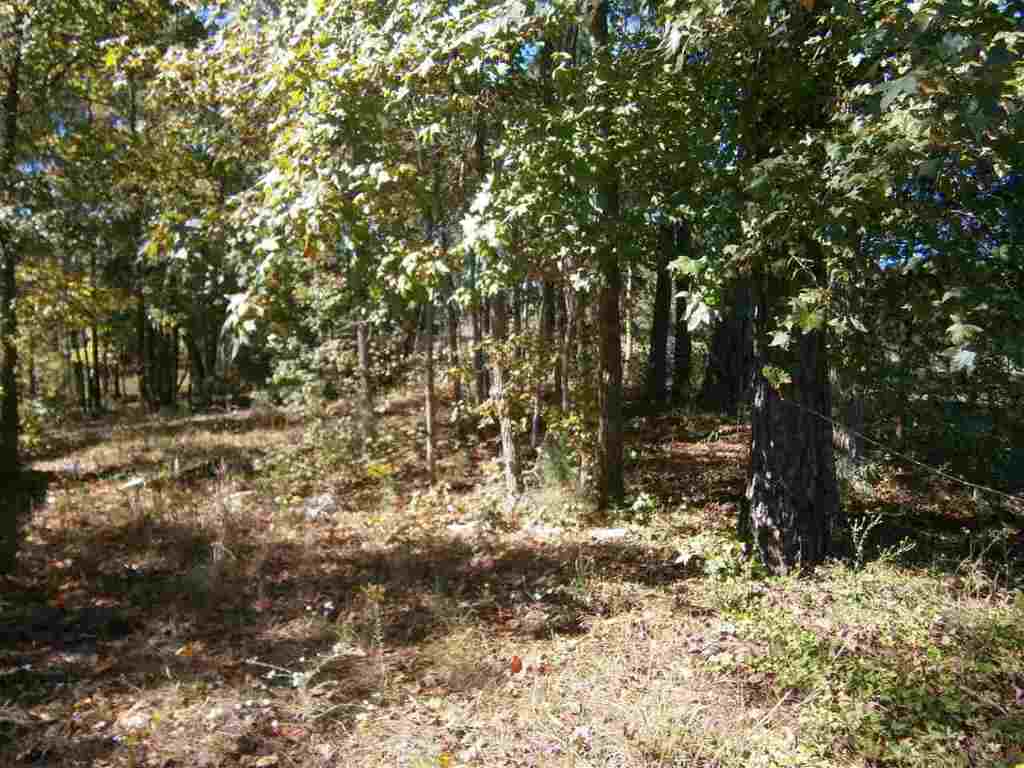 224 Horseshoe Road Honea Path, SC 29654 - Photo 1 of 9 Gallery Image 1