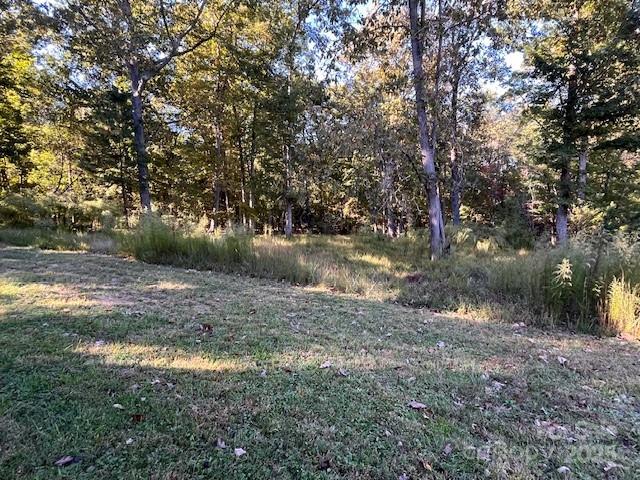 2538 Gemena Road Chapel Hill, NC 27516 - Photo 19 of 21 a view of a yard with plants and trees