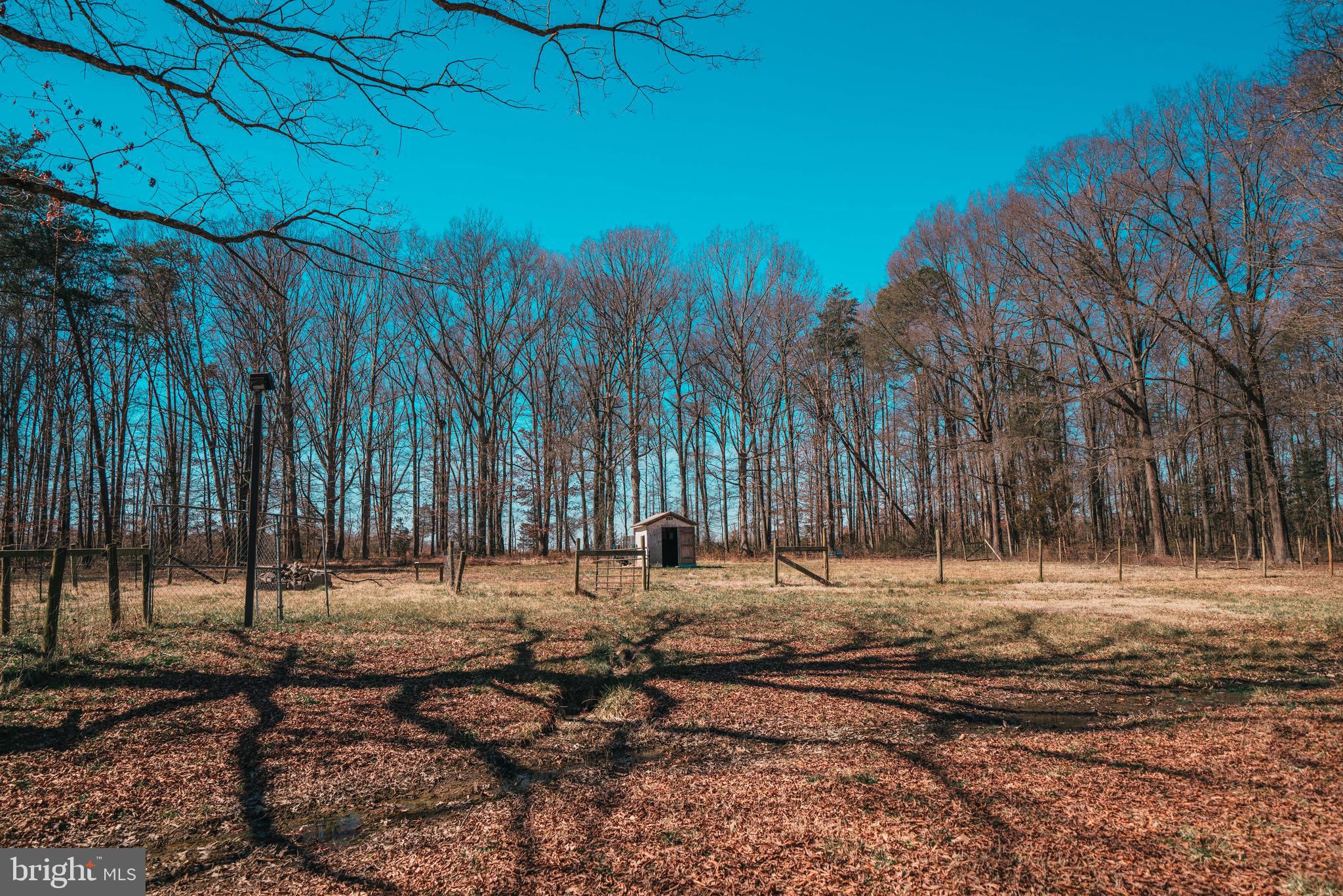 20144 Batna Road Culpeper, VA 22701 - Photo 3 of 21 Gallery Image 3