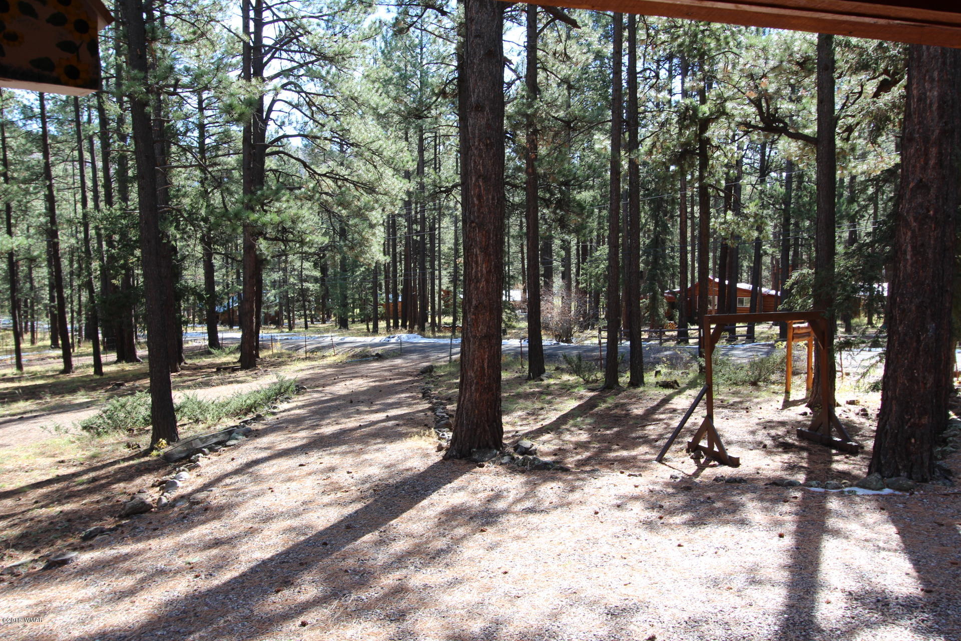 55 Cr 1322 Road Greer, AZ 85927 - Photo 25 of 42