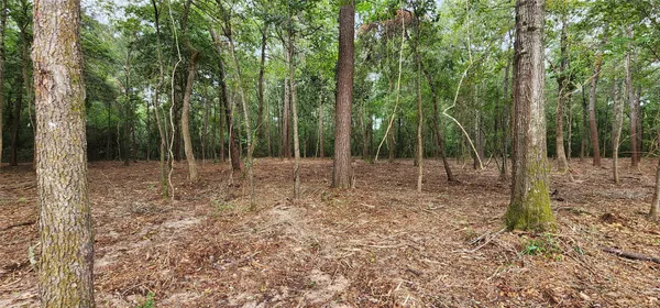 a view of outdoor space with green space
