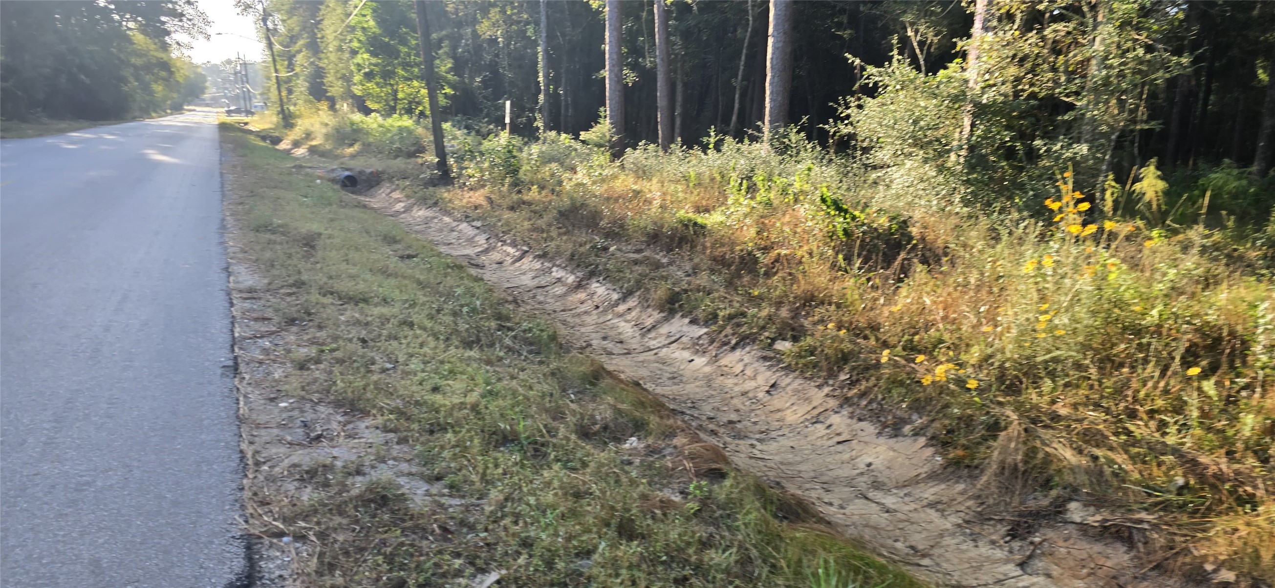 7555 Broussard Road Beaumont, TX 77713 - Photo 2 of 6 a backyard of a house with lots of green space