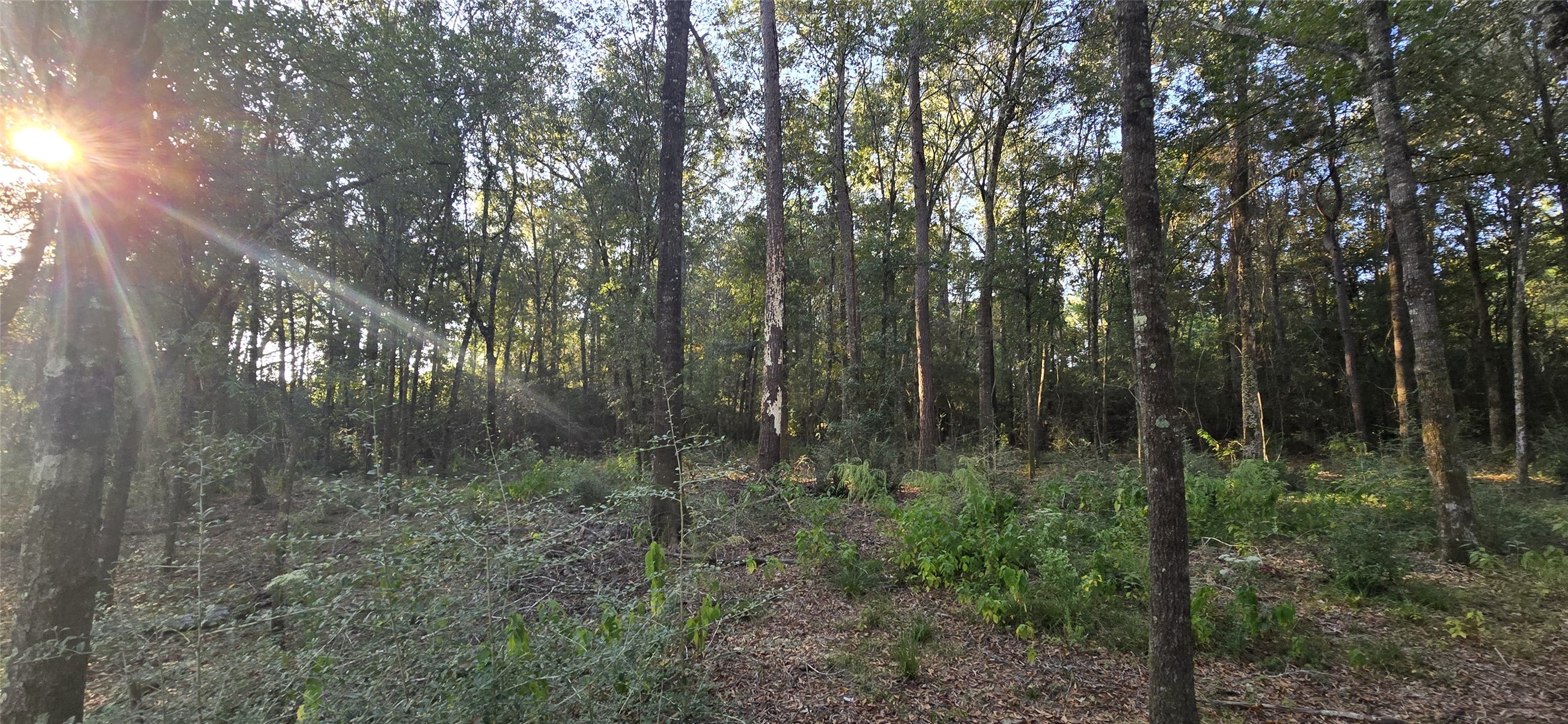 7555 Broussard Road Beaumont, TX 77713 - Photo 5 of 6