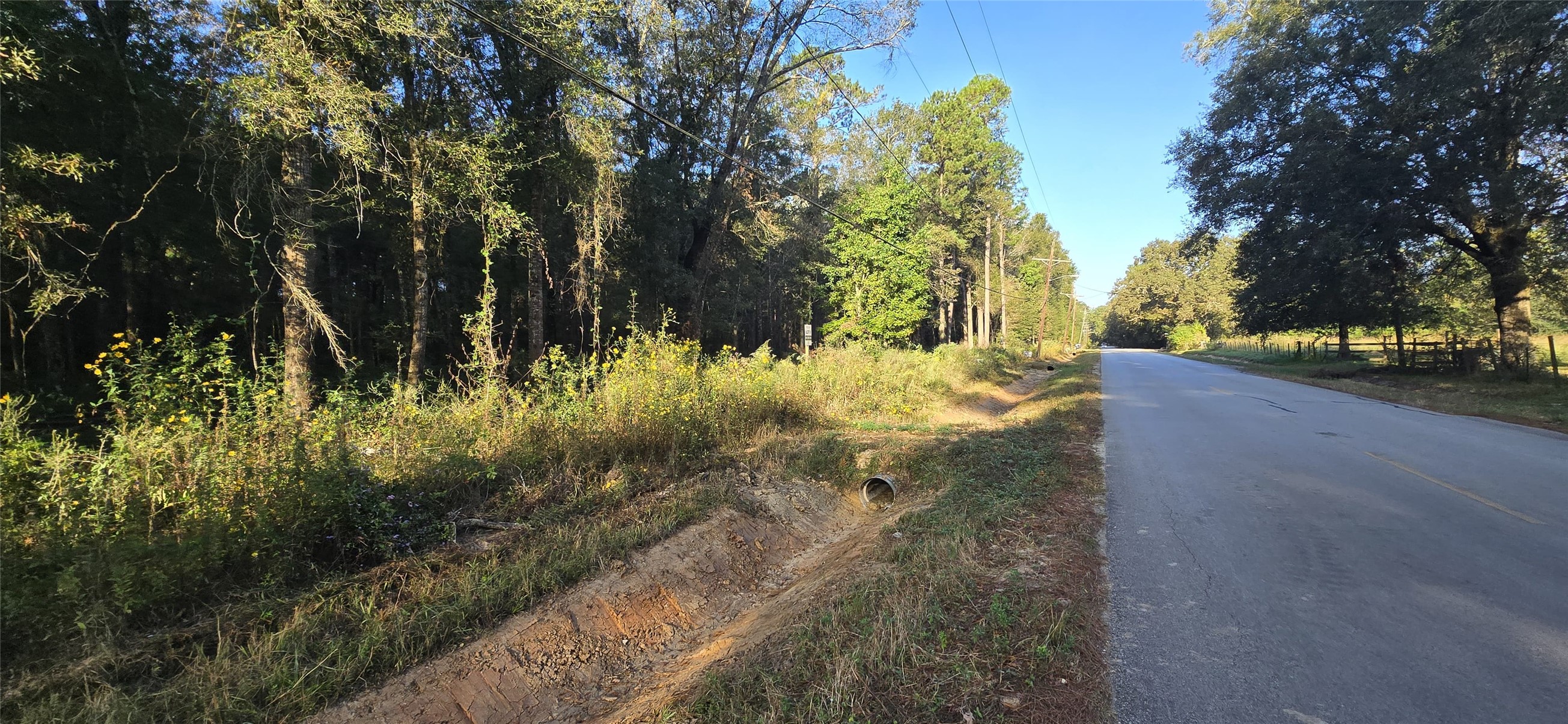7555 Broussard Road Beaumont, TX 77713 - Photo 6 of 6 a view of a yard with large trees