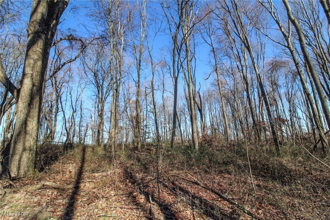 0 Pleasant Chapel Road Southeast Newark, OH 43056 - Photo 13 of 23 View of nature