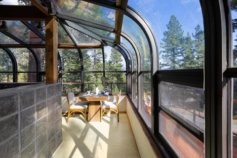 a view of a plants with a flower in a garden