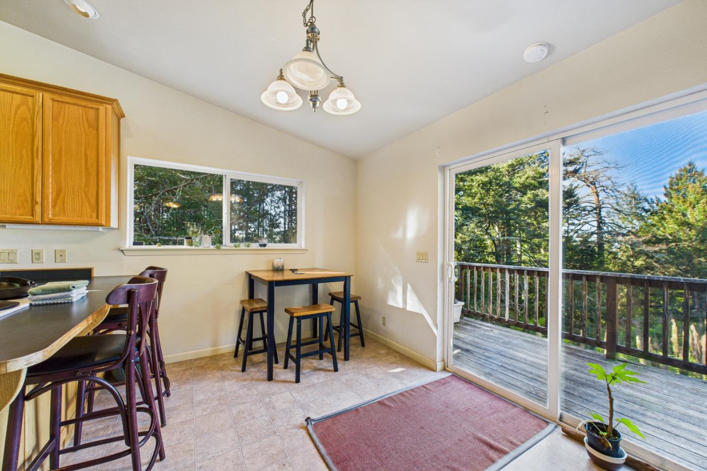 972 Spring Road Whitethorn, CA 95589 - Photo 14 of 30