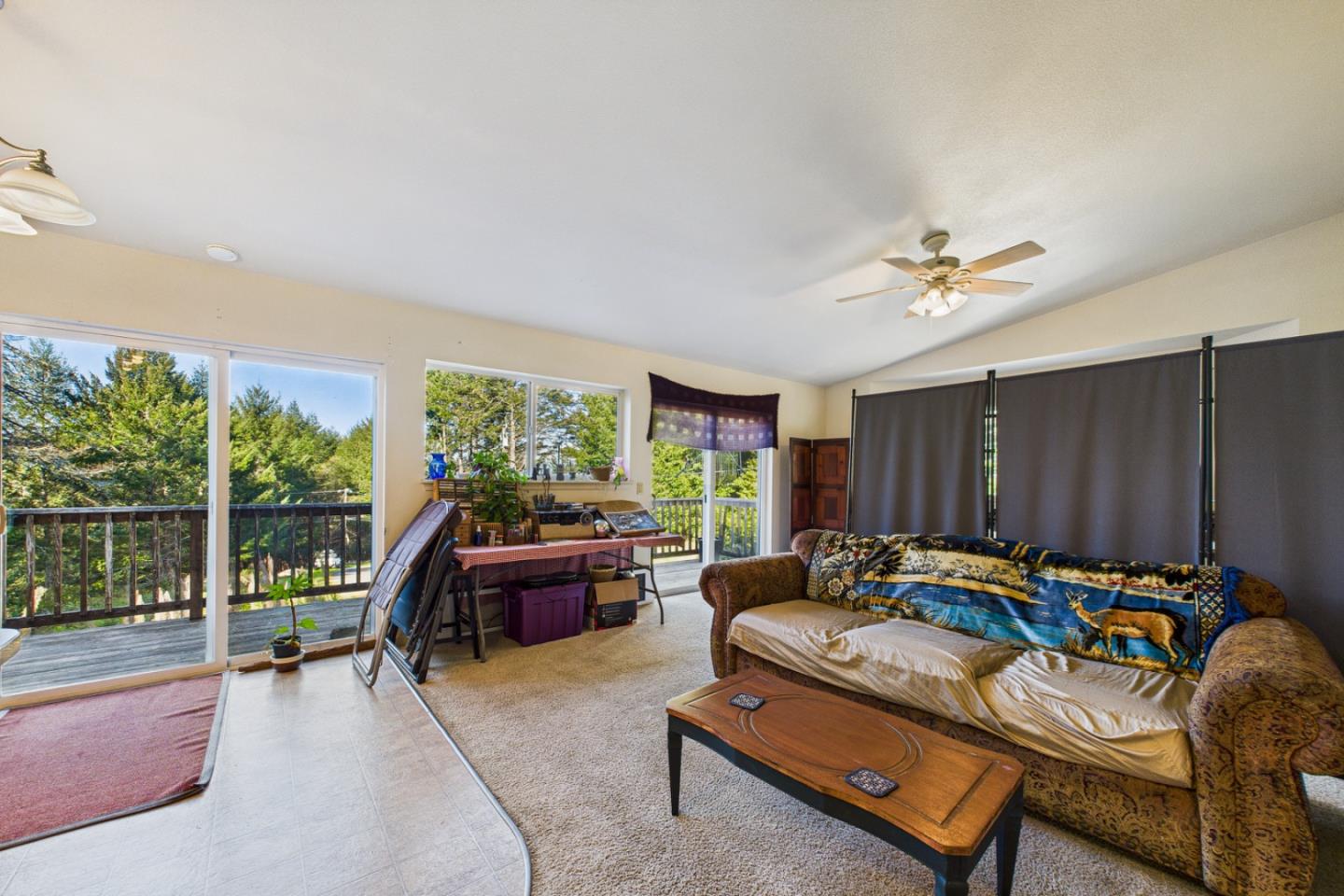 972 Spring Road Whitethorn, CA 95589 - Photo 8 of 30