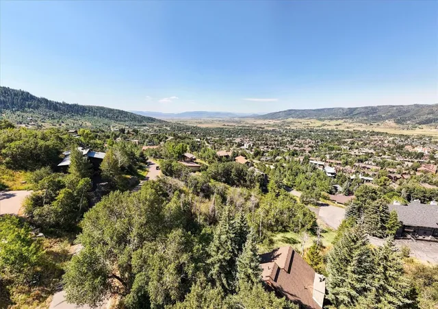 an aerial view of residential houses with outdoor space and mountain view