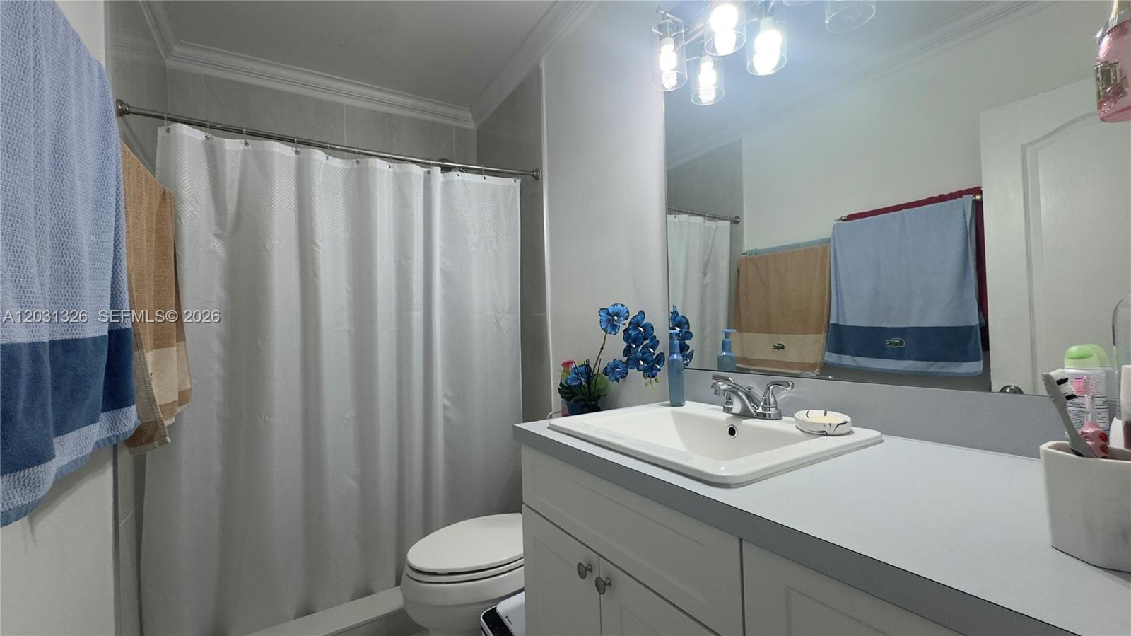 12480 Southwest 189th Street Miami, FL 33177 - Photo 12 of 25 a bathroom with a sink a toilet a mirror and shower curtain