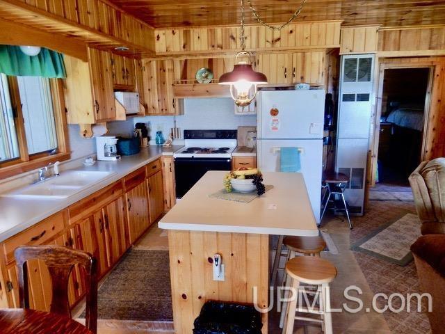 9219 25 Rd Garden Garden, MI 49835 - Photo 20 of 22