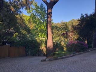 50 Sandra Road Hillsborough, CA 94010 - Photo 54 of 56