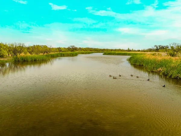 a view of a lake with houses in the background