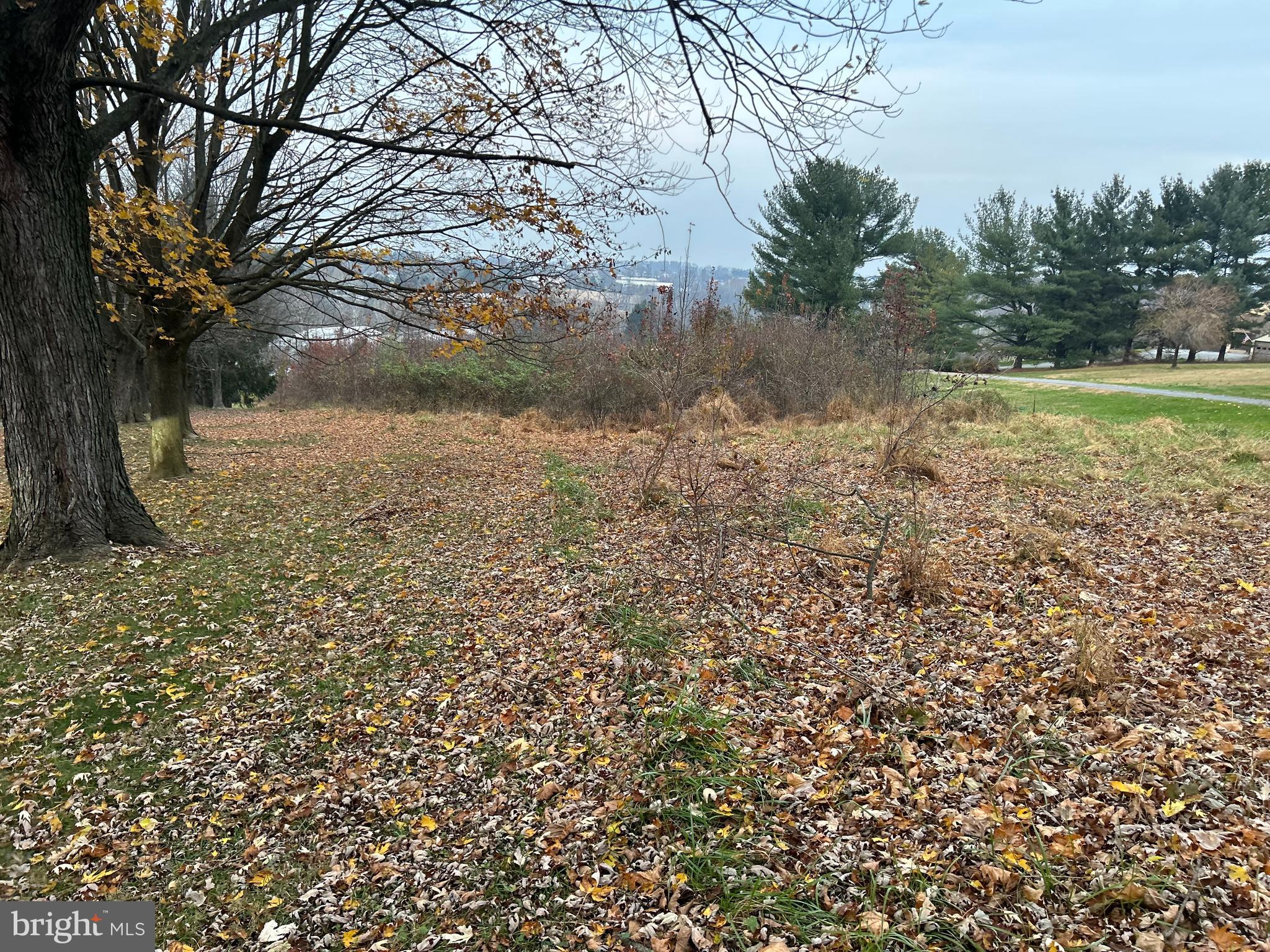 0 Laurel Heights Road Landenberg, PA 19350 - Photo 1 of 8 a view of a yard with a tree