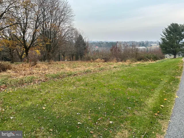 a view of a yard and mountain