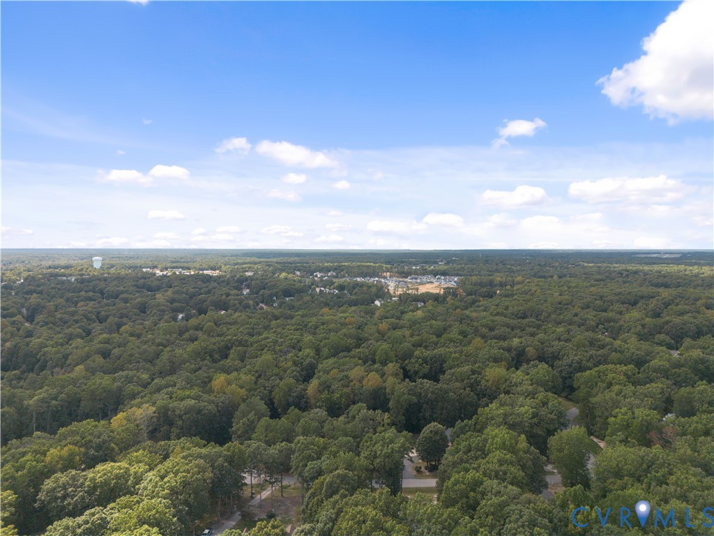 11200 Chalkley Road Chester, VA 23831 - Photo 3 of 24