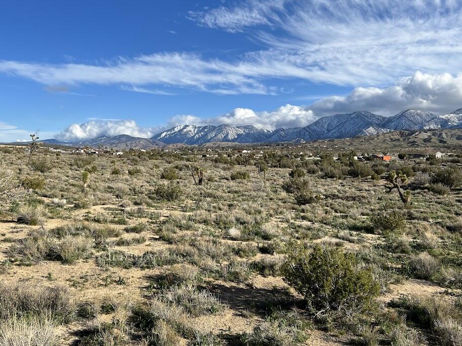 0 Fort Tejon Road Pearblossom, CA 93553 - Photo 11 of 24 fort tejon lot 11 orange con